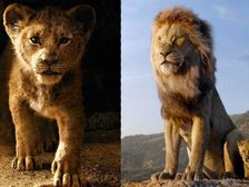 World Lion Day 2021:సింహం ఎప్పుడూ సింగిల్ గానే అటాక్ చేస్తుందా?