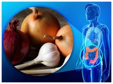 మీరు ఉల్లిపాయలు మరియు వెల్లుల్లిని ఇలా తింటే, క్యాన్సర్‌కి భయపడాల్సిన అవసరం లేదు ...