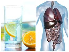 Lemon Water: రోజుకు 1 గ్లాసు, 7రోజులు తాగితే మిమ్మల్ని ఆశ్చర్యపరిచే లాభాలు