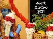 Tulsi Vivah 2023: ఉసిరితోనే తులసి వివాహం ఎందుకు జరుగుతుందో తెలుసా...