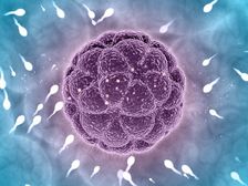 గర్భధారణకు అత్యంత ఉత్తమమైన సమయం ఇదే; అండోత్సర్గము లక్షణాలు ఇలా గుర్తించండి