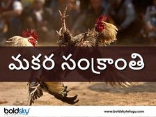 Sankranthi Pandem Kollu:సంక్రాంతి సంబురాలు ‘తగ్గేదే లే’..కోడి పందెలు ఆగేదేలే... 