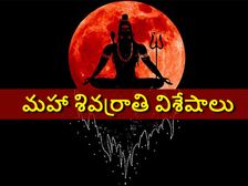 Maha Shivratri 2022:శివరాత్రి గురించి పార్వతీదేవికి శివుడు చెప్పిన కథ గురించి తెలుసా...