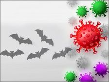 Marburg: ఆఫ్రికాలో మరో డెడ్లీ వైరస్.. మర్ బర్గ్ తో ఇద్దరు మృతి 