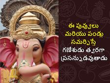 Ganesha Chaturthi: ఈ పువ్వులు మరియు పండ్లు సమర్పిస్తే గణేశుడు త్వరగా ప్రసన్నుడవుతాడు..