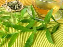 కీళ్ల నొప్పుల నుంచి ఉపశమనం పొందాలా? ఐతే ఈ ఆకు తినండి...