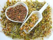 How To Eat Sprouts: మొలకెత్తిన విత్తనాలను ఇలా తింటేనే బరువు తగ్గుతారు