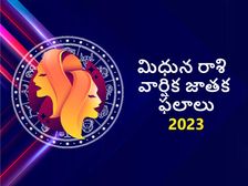 Gemini Horoscope 2023: మిథునరాశి వారి వార్షిక జాతక ఫలాలు: ఆర్థిక విషయాలు, వివాహం, అదృష్టాలు మరియు దురదృష్టాలు 