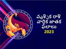 Scorpio Horoscope 2023:2023 వృశ్చిక రాశి 2023 వార్షిక ఫలితాలు : రాజయోగం మరియు సకల అదృష్టం