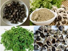 Drumstick Seeds: మునగ విత్తనాలను పొడి చేసి అందులో కలిపి తింటే...మధుమేహం నుంచి గుండెపోటు వరకు..దివ్వఔషదం