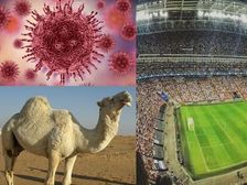 FIFA & MERS: ఫిఫా అభిమానులకు పొంచి ఉన్న కొత్త వైరస్ ముప్పు 