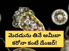 దక్షిణ కొరియాలో అరుదైన ఇన్ఫెక్షన్.. మెదడును తినే ఆ ఇన్ఫెక్షన్ ఎంత ప్రమాదకరం?