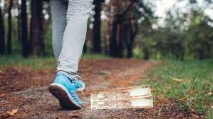 రోడ్డుపై డబ్బు దొరికితే అదృష్టమా..? దురదృష్టమా..? 