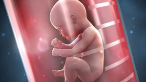 మొదటి నెలల్లో గర్భస్రావం జరగడానికి కారణాలు, ఈ చిట్కాలతో సేఫ్‌గా ఉండొచ్చు