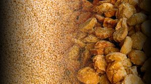 Sankranti Special: సంక్రాంతి పండుగకు నువ్వులు, బెల్లం ఎందుకు ఉపయోగిస్తారు? శాస్త్రీయ కారణం ఇదిగో...