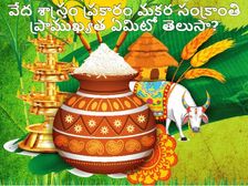 వేద శాస్త్రం ప్రకారం మకర సంక్రాంతి ప్రాముఖ్యత ఏమిటో తెలుసా?