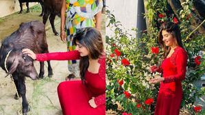 Sreeleela: హాట్ గా రెడీ అయి క్యూట్ లుక్స్ ఇస్తున్న శ్రీలీల.. ఎరుపు రంగు డ్రెస్సులో అదిరిందిగా..!