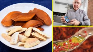 Sky fruit benefits: రుచిలో కాస్త చేదుగా ఉన్నప్పటికీ, ఈ చక్కెర బాదం మధుమేహం-కొలెస్ట్రాల్‌ను నియంత్రిస్తుంది   