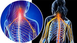 వాగస్ నాడి - ఒత్తిడి మరియు ఆందోళన నుండి ఉపశమనానికి ఔషధం! దీన్ని ఎల్లప్పుడూ యాక్టివ్‌గా ఉంచడం ఎలా?