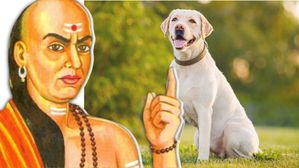 Chanakya Niti: శునకం నుండి మనం నేర్చుకోవాల్సిన గుణాలున్నాయంటున్న చాణక్యుడు..!
