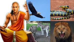 Chanakya Niti: ప్రతి మనిషి జంతువుల నుండి నేర్చుకోవాల్సిన లక్షణాలు