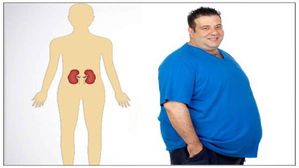 World Obesity Day 2023: ఊబకాయం మూత్రపిండాలపై ప్రభావం చూపుతుందా? ఎలా?