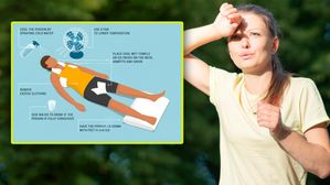 Sun Stroke:సన్ స్ట్రోక్ వల్ల ఎన్నో ఆరోగ్య సమస్యలు! దీని లక్షణాలు, ప్రథమ చికిత్స!