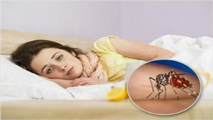 ప్రపంచ మలేరియా దినోత్సవం 2022: మలేరియా ఉన్న ప్రదేశాలకు వెళ్లేటప్పుడు ఈ జాగ్రత్తలు తీసుకోండి