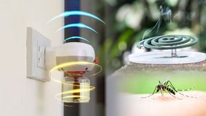  Mosquito Coil effect on health: ఈ ఒక కాయిల్ 100 సిగరెట్ల కంటే ప్రమాదకరం, దాని వల్ల కలిగే హానిని తెలుసుకోండి..