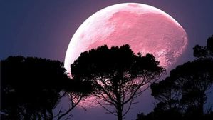 Pink Moon 2023: పింక్ మూన్ అంటే ఏంటి? ఎప్పుడు చూడవచ్చే తెలుసా?