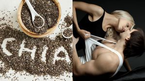 Chia Seeds Benefits: ఆరోగ్యంగా ఉండాలన్నా.. పడకగదిలో రెచ్చిపోవాలన్నా.. చియా సీడ్స్ బెస్ట్ ఆప్షన్