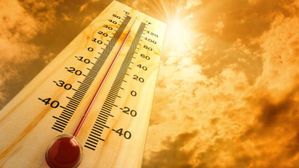 Heat Wave: తెలుగు రాష్ట్రాల్లో దంచికొడుతున్న ఎండలు, వడదెబ్బ నుండి ఇలా జాగ్రత్తగా ఉండండి 