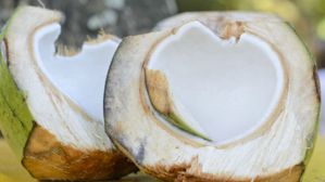 Coconut Malai: కొబ్బరి మలై.. రుచికి రుచి, ఆరోగ్యానికి ఆరోగ్యం 