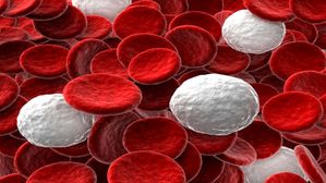 Foods for white blood cells: తెల్ల రక్తకణాలు లేదా WBC ను  పెంచడంలో సహాయపడే ఆహారం 