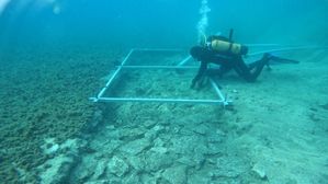 7 వేళ ఏళ్ళ నాటి రోడ్డు, మధ్యదరా సముద్రం అడుగున గుర్తింపు 