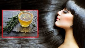 Rosemary For Hair: బలమైన, పొడవైన జుట్టు కావాలా? రోజ్‌మేరీ ఇలా వాడితే అద్భుతమైన ఫలితాలు