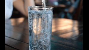 స్పార్క్‌లింగ్ వాటర్‌ తాగి బరువు తగ్గించుకోవచ్చా? 