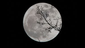 Chandra Grahan 2021:చంద్ర గ్రహణం తర్వాత.. ఇలా చేస్తే అన్ని దోషాలు తొలగిపోతాయట...! 