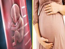 సరోగసీ మరియు టెస్ట్ ట్యూబ్ బేబీ మధ్య వ్యత్యాసం: ఏ సంతానోత్పత్తి చికిత్స మంచిది?