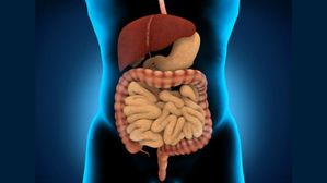 మనిషి శ్రేయస్సుకు పొట్ట ఆరోగ్యం కీలకం, ఆ పొట్టను ఆరోగ్యంగా ఉంచుకునేందుకు ఈ పనులు చేయండి