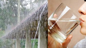 వాన నీటిని తాగొచ్చా? వైద్యులు ఏం చెబుతున్నారో తెలుసుకోండి 