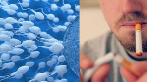 సిగరెట్ తాగడం వల్ల పురుషుడి స్పెర్మ్ కౌంట్ మరియు తండ్రి అయ్యే సామర్థ్యంపై ప్రభావం చూపుతుందా?