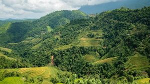 ఆంధ్ర ఊటీ:  ఈ వర్షాకాలంలో హార్సిలీ హిల్స్‌లోని అందమైన కొండలను ఆస్వాదించండి..