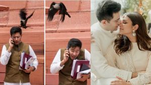 ఆప్ ఎంపీ రాఘవ్ చద్దాపై కాకి దాడి.. సమస్యలకు సంకేతమా? పరిణీతి చోప్రాతో పెళ్లవుతుందా?