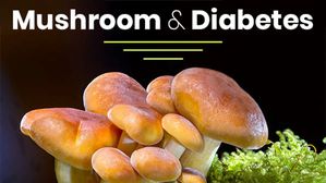 Mushroom For Diabetes: పుట్టగొడుగులను క్రమం తప్పకుండా తీసుకోవడం వల్ల మధుమేహాన్ని నివారించవచ్చు!!