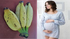  Myths and Facts:  జంట అరటిపండ్లు తింటే కవల పిల్లలు పుడతారనేది నిజమేనా? దీని గురించి ఒక ఆసక్తికరమైన విషయం..