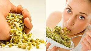 రోజూ ఉదయాన్నే పచ్చి మొలకలు తింటున్నారా?పచ్చి మొలకలు ఇలా తింటే మీ ఆరోగ్యానికి హానికరం, ఎలా తినాలి ఎప్పుడు తినాల