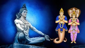 శ్రావణ మాసంలో శివుడిని ఇలా పూజిస్తే జాతకంలో శని లేదా రాహు-కేతువుల దోషాలు తొలగిపోతాయి..