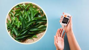 How Curry Leaves For Diabetes: కరివేపాకును ఇలా తింటే... రక్తంలో చక్కెర స్థాయి 100% తగ్గుతుంది!