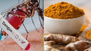 ప్రాణాపాయం కలిగించే డెంగ్యూ జ్వరాన్ని అరికట్టాలంటే... అల్లం, వెల్లుల్లి, పసుపు పాలు వాడితే చాలు!